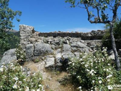 Chorranca y Silla del Rey, Cerro del Moño de la Tía Andrea;las majadas cuenca cercedilla madrid pueb